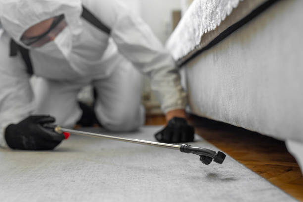 Professional Termite Control technician working in Huxley, IA