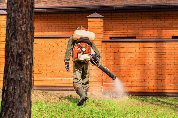 Trusted Bed Bug Control service in Huxley, IA - Nex Pest Control